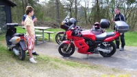 Picture 009