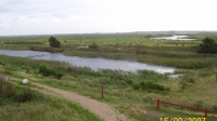 Picture 006