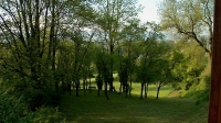 Morbach (11)