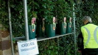 Morbach (25)