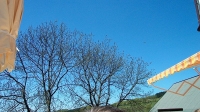 Morbach (29)