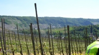 Morbach 2008 009