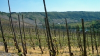 Morbach (35)