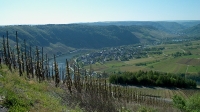 Morbach (37)