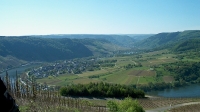 Morbach (40)