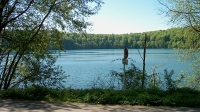 Morbach (42)