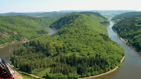 Morbach (55)