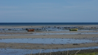 2009-04-19 Djursland 016