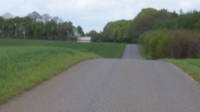 Ring-Gjern-Mausing 013