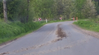 Ring-Gjern-Mausing 022