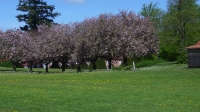 2009-05-10 Fyn 014