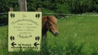 Breitenbach 055
