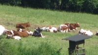 Breitenbach 112