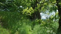 Dametur 2009 027
