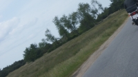Oksbøl mm 2009 041