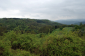 Hessen2010 Preben 014