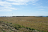 Thy 2010 014