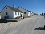 Thytur2010 (37)
