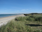Thytur2010 (38)