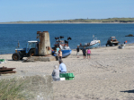 Thytur2010 (44)