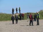Thytur2010 (46)
