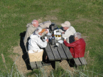 Thytur2010 (5)