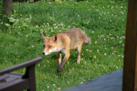 Harzen2011 015