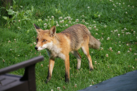 Harzen2011 016