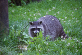 Harzen2011 024
