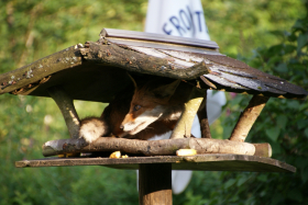 Harzen2011 026