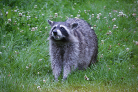 Harzen2011 030