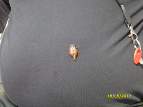 Bayern 2012-1 025