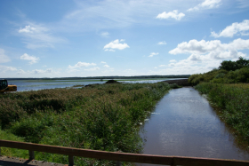 Dametur 019