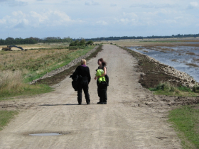 Filsø120826 (12)