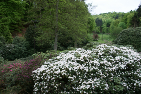 Tyskland-2013 064