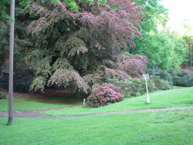 Rengsdorf2013 018