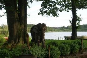 Borbjerg Mølle 012