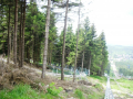 Tyskland2014RH 096