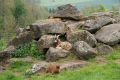 Tyskland 2015 044.JPG