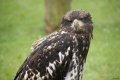 Tyskland 2015 049.JPG