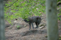 Tyskland 2015 052.JPG