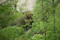 Tyskland 2015 056.JPG