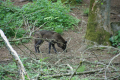 Tyskland 2015 060.JPG