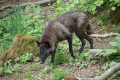 Tyskland 2015 062.JPG