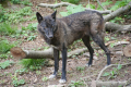 Tyskland 2015 064.JPG