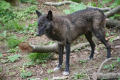 Tyskland 2015 065.JPG