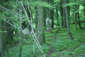 Tyskland 2015 068.JPG
