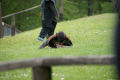 Tyskland 2015 072.JPG
