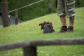 Tyskland 2015 073.JPG