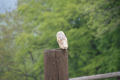 Tyskland 2015 075.JPG